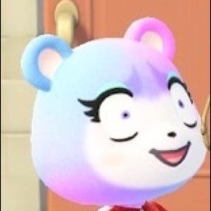 Meet your Posher, Kat